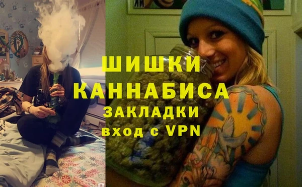 Альфа ПВП Лагань