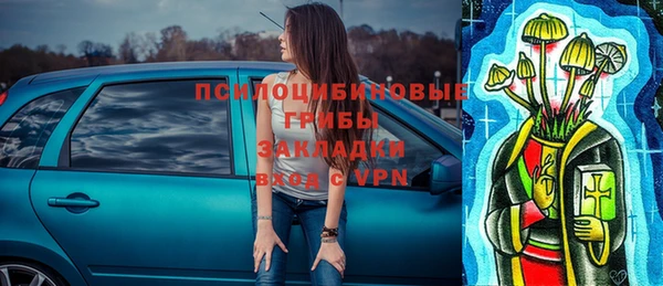 Альфа ПВП Лагань